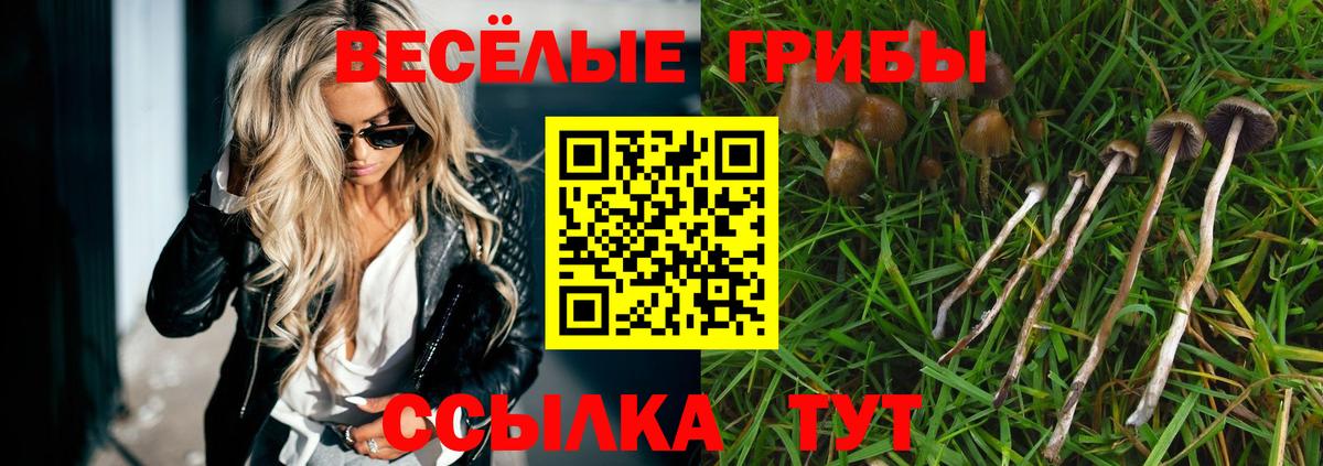 Псилоцибиновые грибы GOLDEN TEACHER Менделеевск
