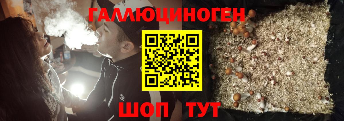 Менделеевск  Галлюциногенные грибы Psilocybine cubensis  Вход с VPN 